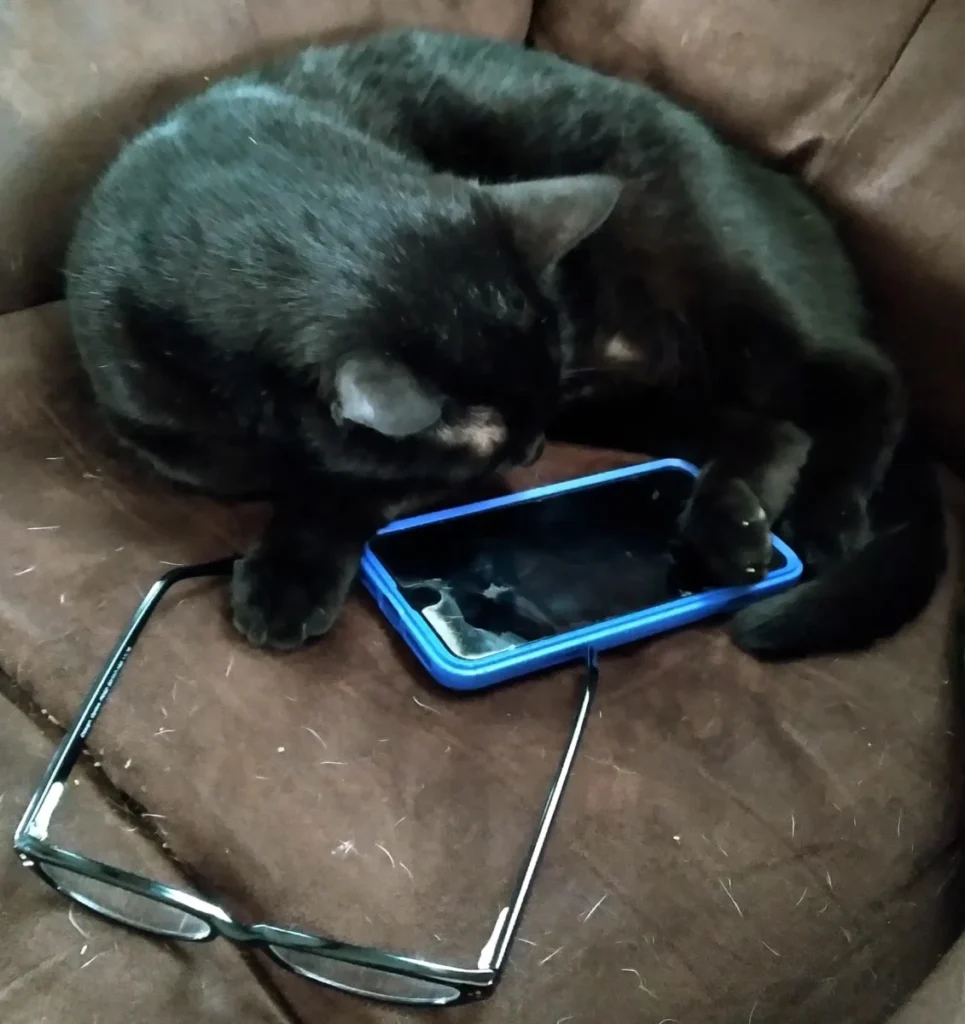 Customer service is exhaustive too!