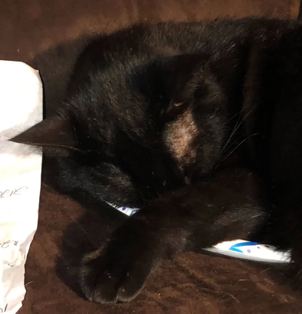 The lunch break was especially exhaustive today!