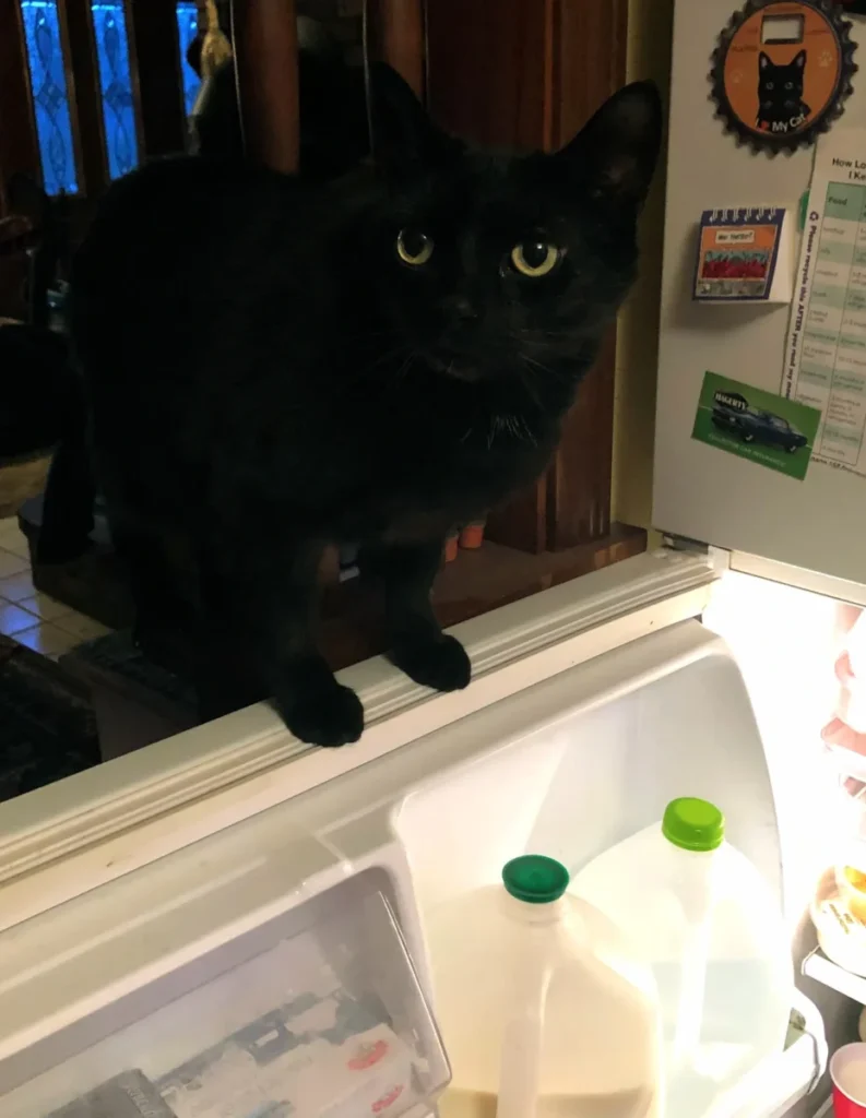 What's for lunch break today?