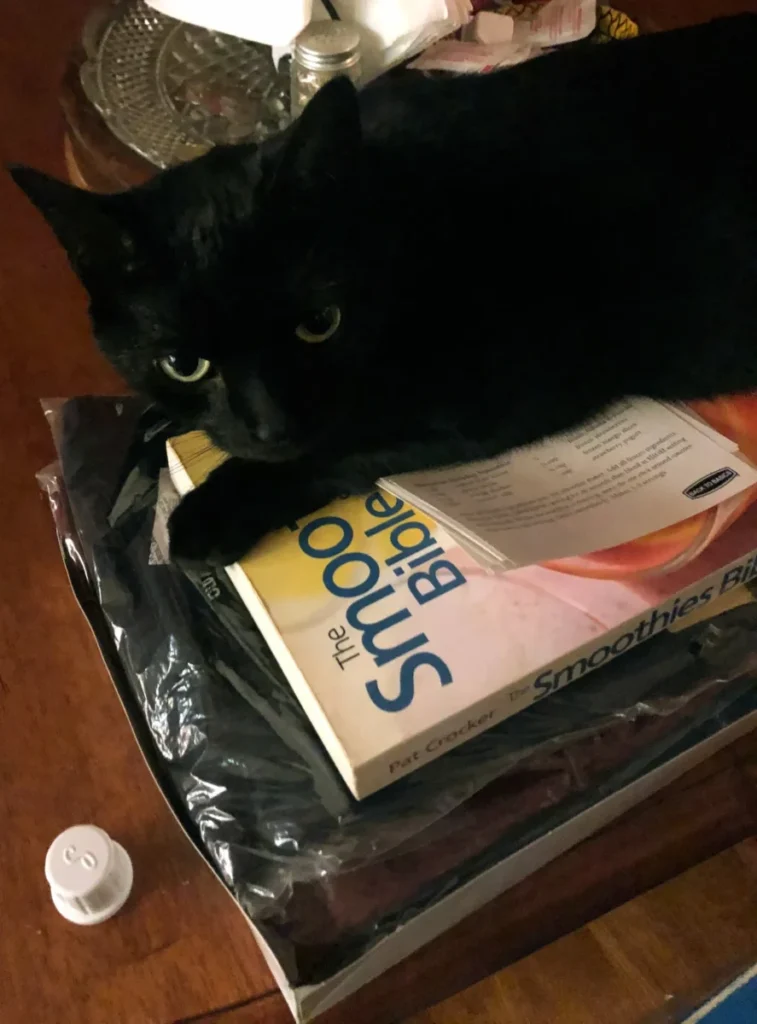 Always ready to find and share a new lunch break recipe!