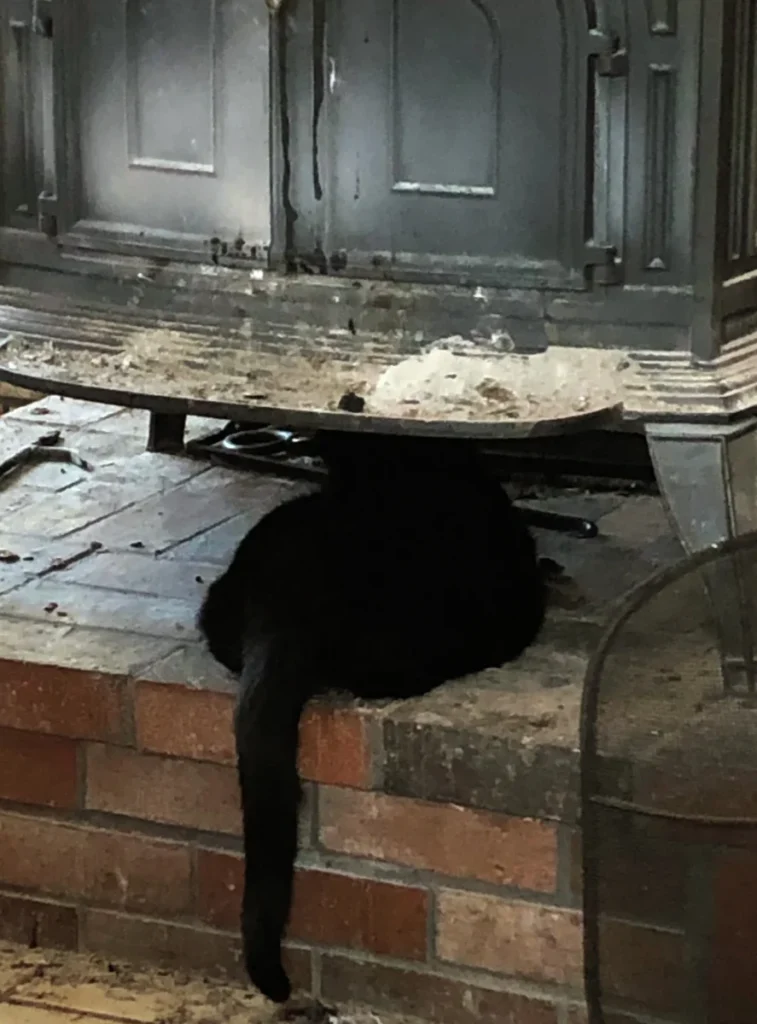 Keeping nice and warm.