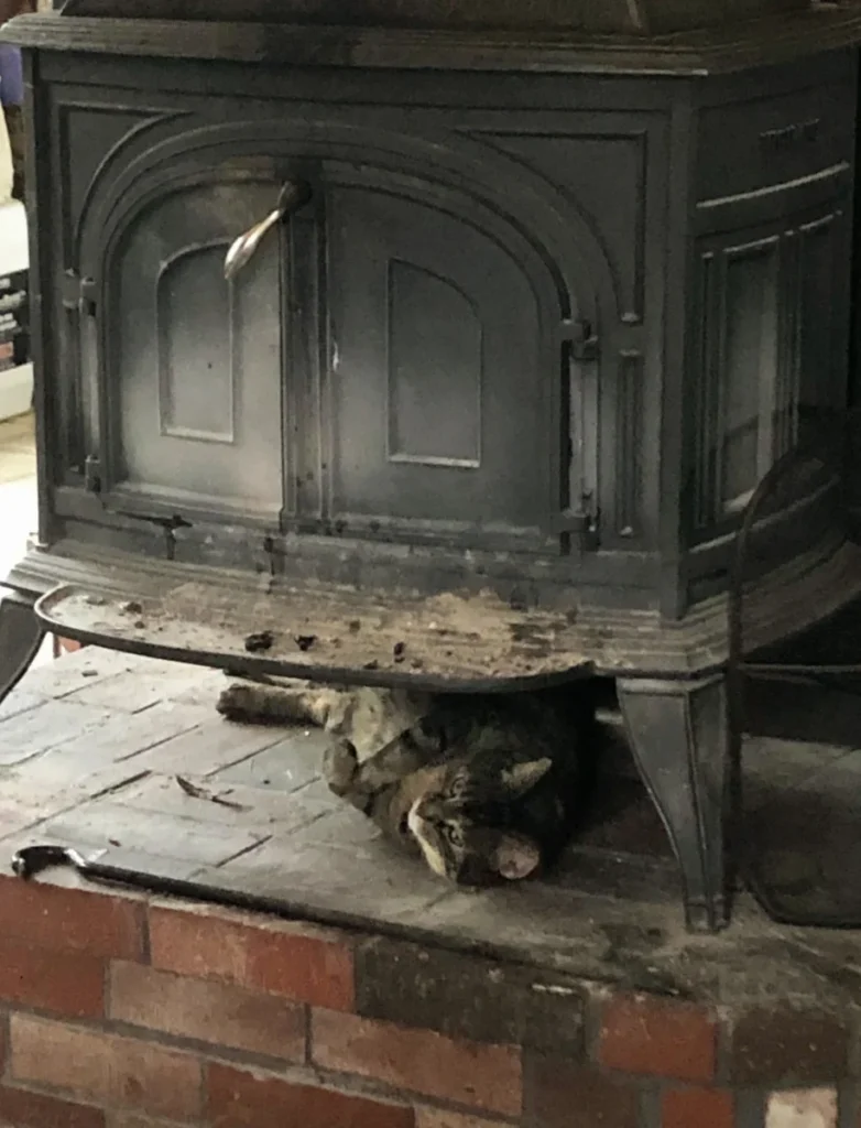 The Most popular seat in the office!!