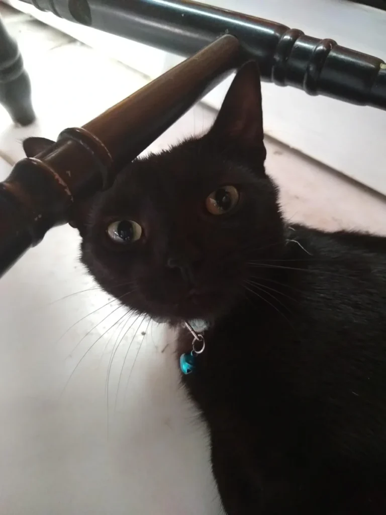 The face of innocence!