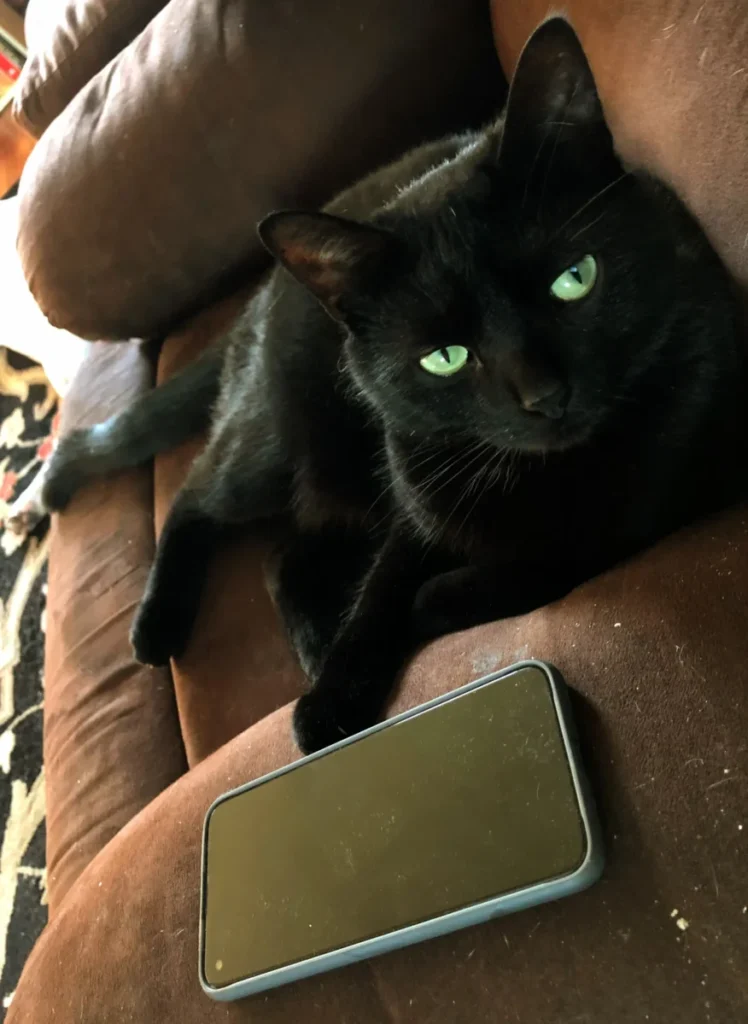 Always at your service and ready to answer the phones!